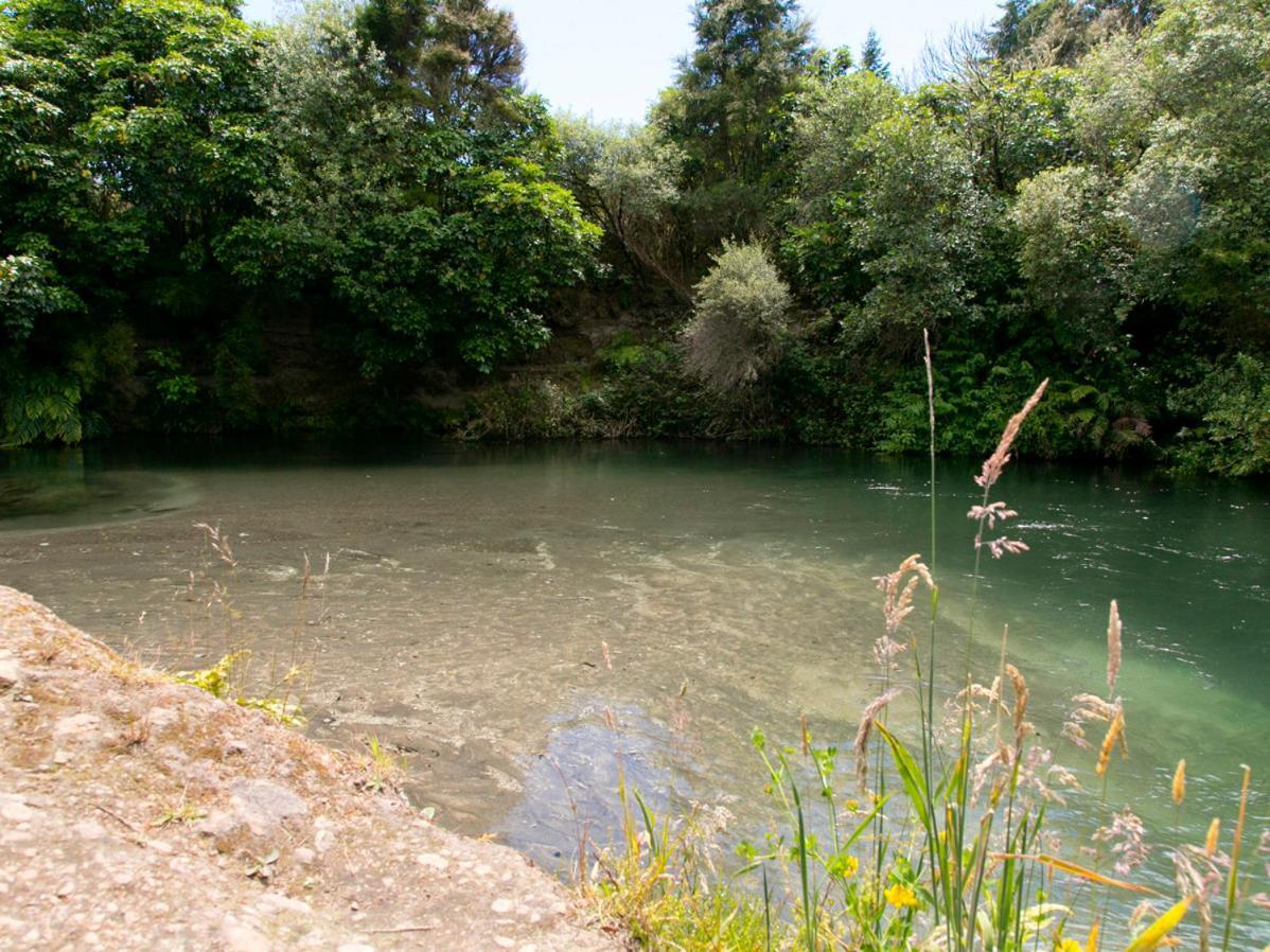 Bellbird Cottage - Lake Taupo Bach Waitahanui Екстериор снимка